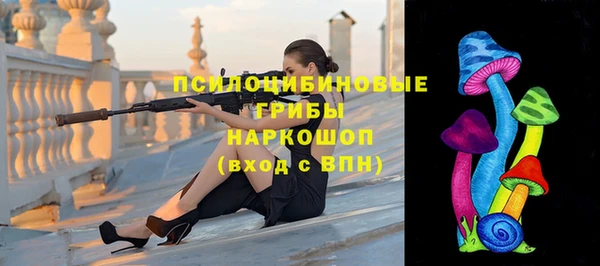 spice Кулебаки
