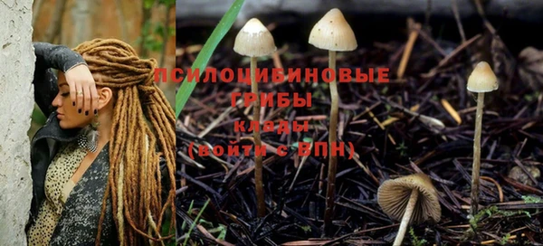 мдпв Абдулино